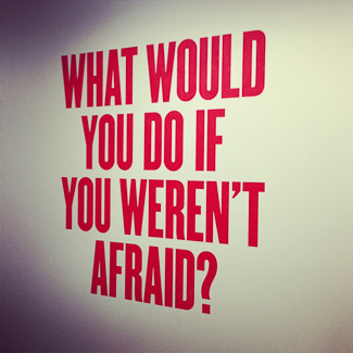 what-would-you-do-if-you-weren't-afraid
